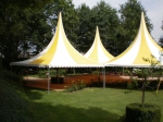 Floriadetent wit/gele zeilen 6-hoekig 65m²